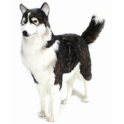 HUSKY DOG LIFE SZ 46''L