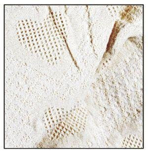Honeycomb Hearts 2 Layer Throw – Natural Full-Size 50 x 70