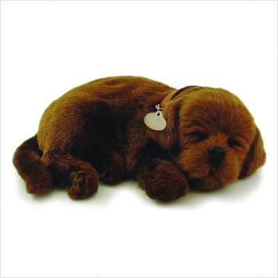 Perfect Petzzz Chocolate Lab Puppy