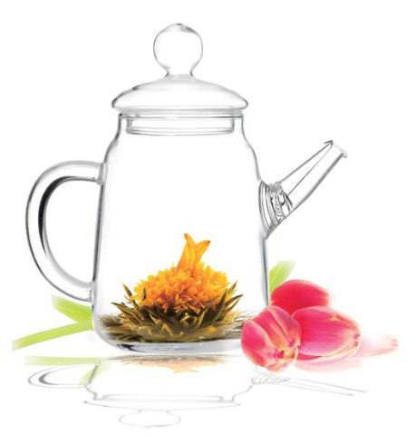 Teapot-SOLO, 12 oz