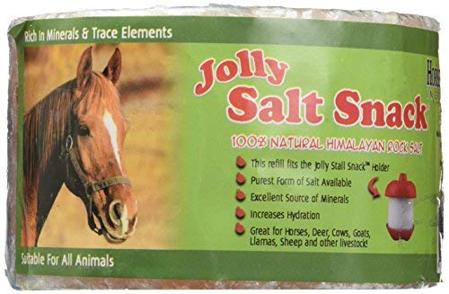 Horsemen's Pride Himalayan Stall Snack Rock Salt
