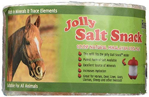Horsemen's Pride Himalayan Stall Snack Rock Salt