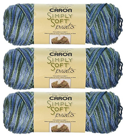 Caron Simply Soft Yarn - Paints Spring Brook 204 Yards 4 OZ