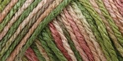 Caron Simply Soft Yarn - Paints Rose Garden 204 Yards 4 OZ
