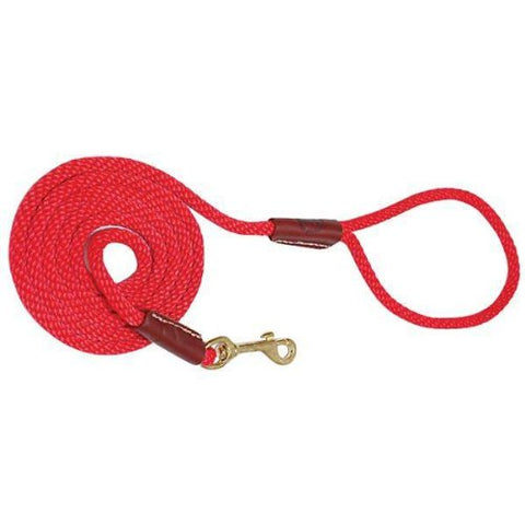 Mendota Small Snap Leash - Seafoam, 3/8" X 6'