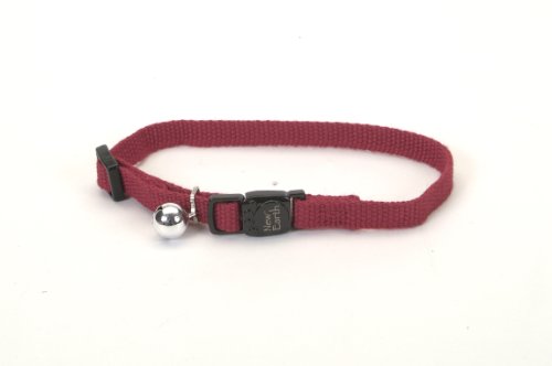 New Earth Soy Cat Collar 3/8" - Cranberry
