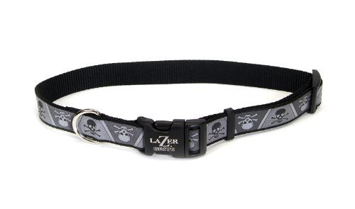 COASTAL Lazer Brite Collar - 1 x 18-26 - Black