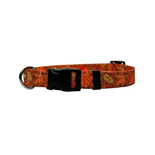 Fall Leaves Collection - Collar, Medium