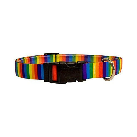 Rainbow Stripe - Standard Collar, Large