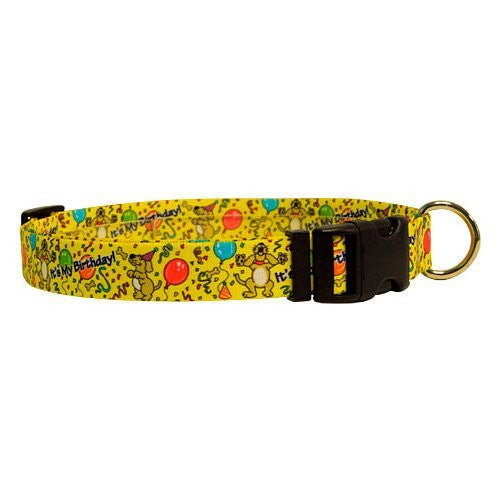 Happy Birthday - Standard Collar, Medium