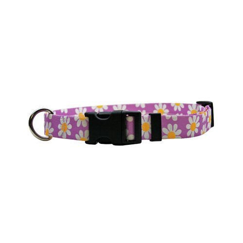 Hip Floral Fashions Collection - Lavender Daisy, Standard Collar, Large