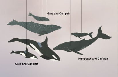 Whale Combination - Mobile