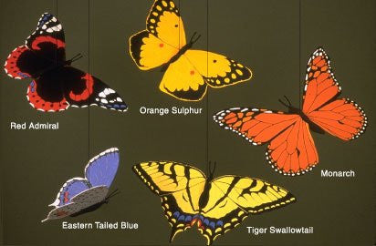 Butterfly Combination - Mobile