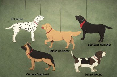 Dog Combination - Mobile