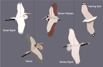 Coastal Birds Combination - Mobile