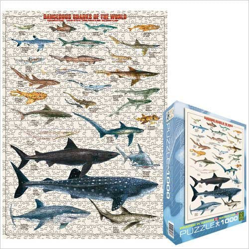 Dangerous Sharks of the World 1000 pc