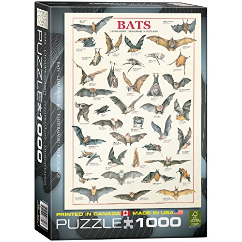 Bats 1000 pc 10x14 inches Box, Puzzle