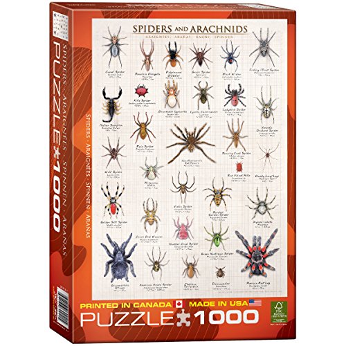Spiders & Arachnids 1000 pc 10x14 inches Box, Puzzle