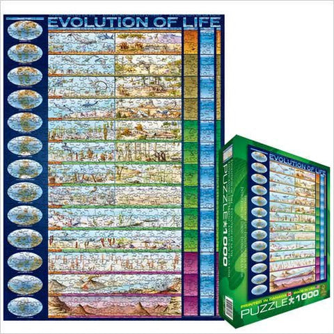 Evolution of Life 1000 pc