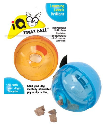IQ Ball, Assorted, 3 Inch