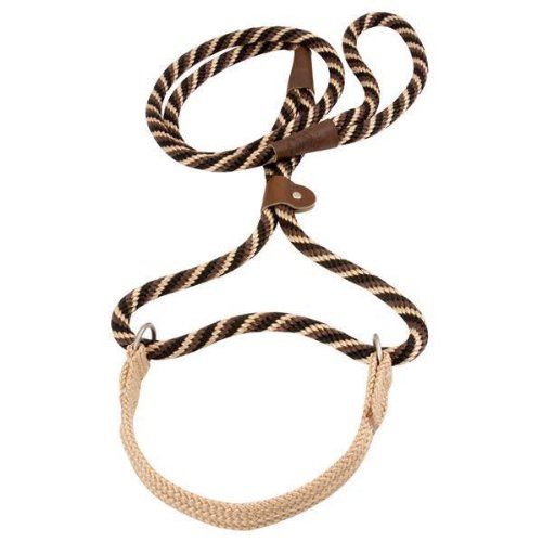 Mendota Big Dog Walker 1/2" X 6' - Seafoam