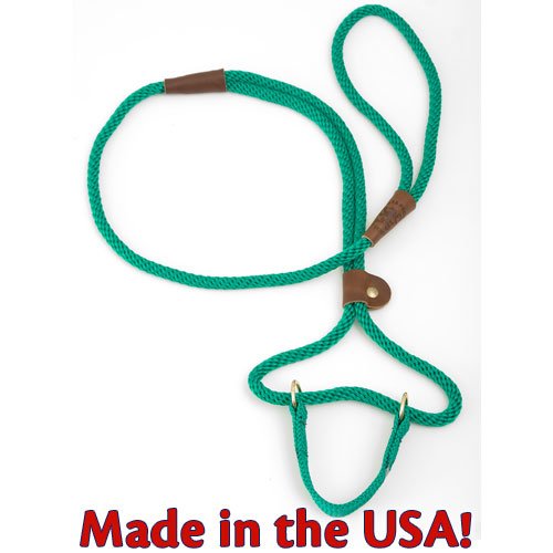Mendota Dog Walker 3/8" X 6' - Kelly Green