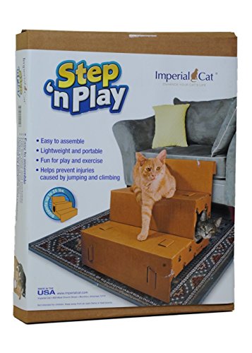 Neat 'n Tidy & Misc. Play 'n Step Pet Steps