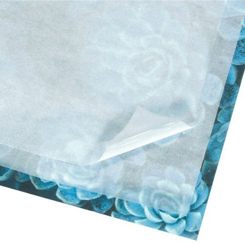 Tissue, Acid Free, Buffered 10" X 15", 100pk