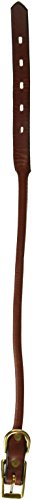 Mendota Rolled Standard Collar - Chestnut, 3/4" x 18"
