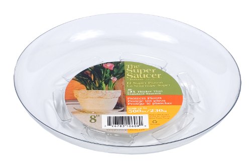 PLASTEC SS008 8" SUPER SAUCER 12/CS, 8"