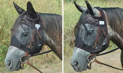 Quiet Ride Fly Mask Standard Ears - SM Qtr Horse-Arab