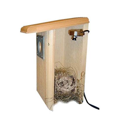 Backyard Birdhouse w/Camera
