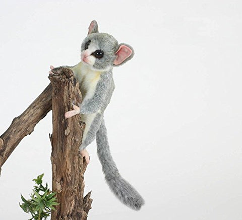 BUSH BABY SENEGAL 8"