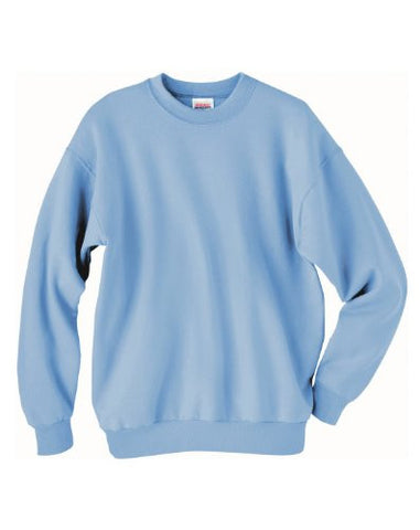 Hanes ComfortBlend Long Sleeve Fleece Crew - p160 (Light Blue / XX-Large)