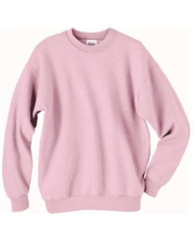 Hanes ComfortBlend Long Sleeve Fleece Crew - p160 (Pale Pink / X-Large)