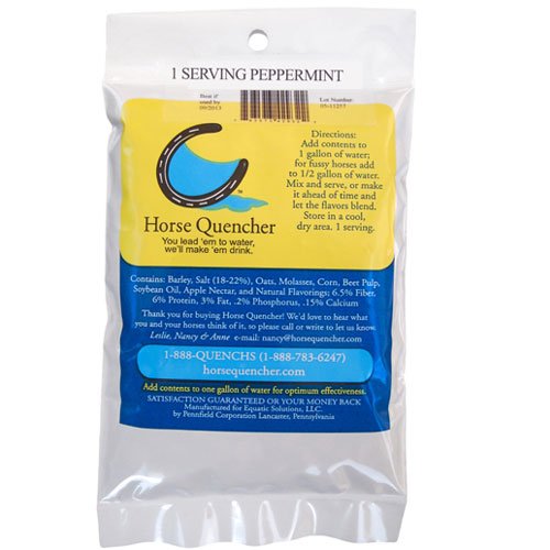 Horse Quencher Single Serving Travel Pack - Peppermint