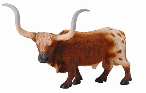Farm Animals - Texas Longhorn Bull