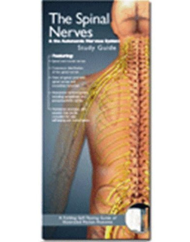 Illustrated Pocket Anatomy - Spinal Nerves And The Autonomic Nervous System Study Guide 2nd Edition