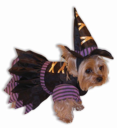 WITCH PET COSTUME- SMALL (PROMO)