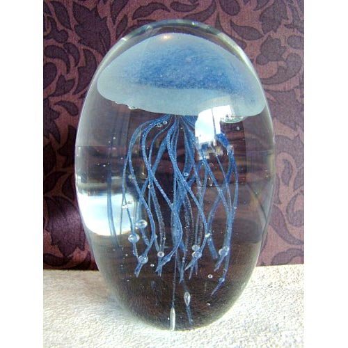 BABY JELLYFISH - BLUE GLOW 4"H