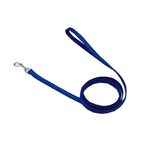 Nylon Leash 6'x5/8" - Blue