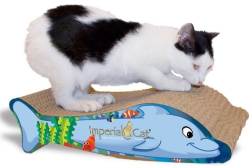 Animal Scratch 'n Shapes, Flip the Dolphin