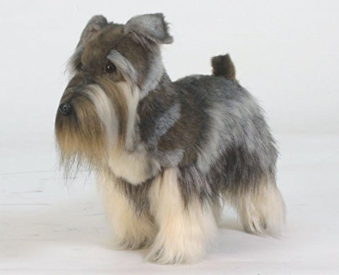 Miniature Schnauzer 18"