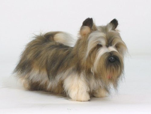 TERRIER ( CARIN) SKYE 20''L