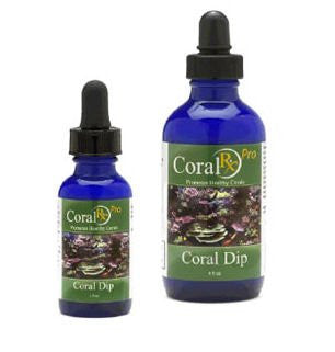 Coral RX Pro Coral Dip - 1 oz