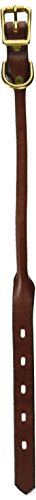 Mendota Rolled Standard Collar - Chestnut, 3/4" x 14"