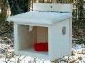 Post Mount Bluebird Feeder