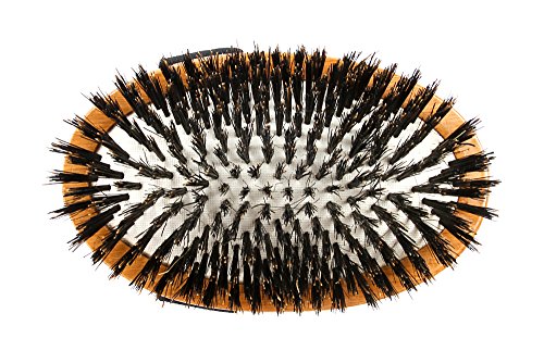 Bass Boar Pet Groomer Palm Style: Oval Medium Size With Wood Handle, 100% Boar Bristle Brush- Dark