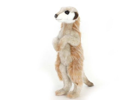 MEERKAT 13''