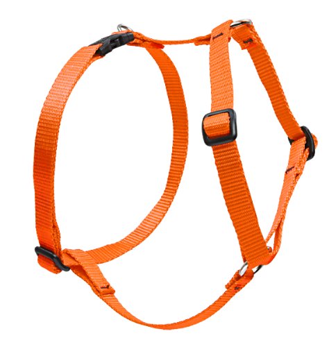 Lupine 3/4" Basics Collection - Blaze Orange, 14"-24" Roman Harness